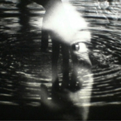 On Land and Meridian