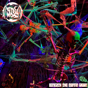 Beneath the Coffin Grain