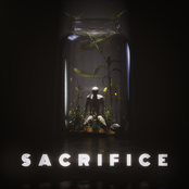 Sacrifice - Single