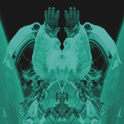 Killed By A Word-Kids With No Life Manuals