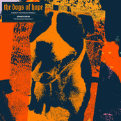 The Seventeen Downtown