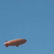 Sha Crow: MARTY SUPREME BLIMP