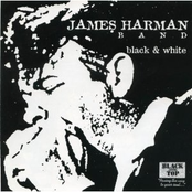 Cut To The Chase by James Harman Band