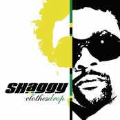 Ahead In Life by Shaggy