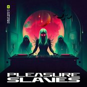Pleasure Slaves