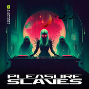 Pleasure Slaves