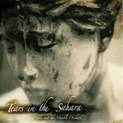 d'arcy and the marble orchard