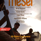 mesel