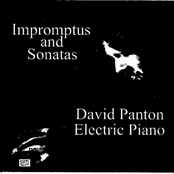 Impromptus and Sonatas - EP