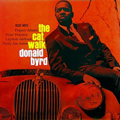 Hello Bright Sunflower by Donald Byrd