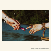 Like You Don't Know