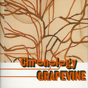 Reverb by Grapevine