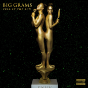 Big Grams: Fell In the Sun