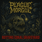 Rotting Coral Graveyard