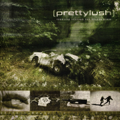 Crawling Through the Broken Glass