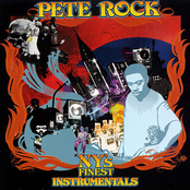 Till I Retire by Pete Rock