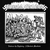 Embrace The Lightning - A Barbaric Manifesto (Compilation)