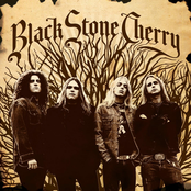 Shapes Of Things by Black Stone Cherry