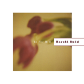 The Panther Of Small Favors by Harold Budd