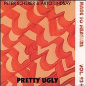 peter scherer & arto lindsay