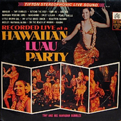 Hawaiian Luau Party