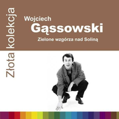 Zielone Wzgórza Nad Soliną