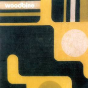 Woodbine: Woodbine