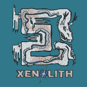 Xenolith