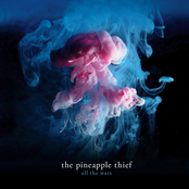 Reaching Out by The Pineapple Thief