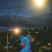 The Great Tree / Holiday