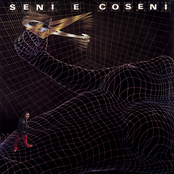 seni e coseni