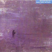 Nadie Habla Perfecto