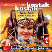 Sazlı Sözlü Oyun Havaları, Vol. 2 (Kostak Kostak)