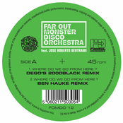 Where Do We Go from Here? (Dego, Andrés & Ben Hauke Remixes)