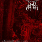 The Silence and Stillness of Death