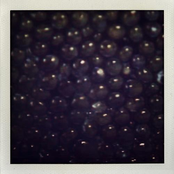 Caviar & Champagne