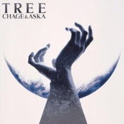 Big Tree by Chage & Aska