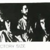 Factory Size