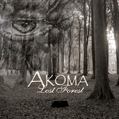 Lost Forest by Akoma