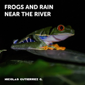 Frogs and Rain near the River