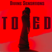 Divine Sensations