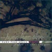 Roses as the last gift