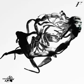 Funk Tribu: Against All Odds