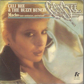 celi bee & the buzzy bunch