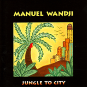 Jungle To City
