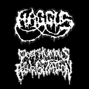 Bizarre Fungating Ulceration