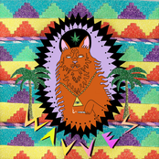 Wavves: King Of The Beach