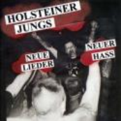 Wenn Die Welt Untergeht by Holsteiner Jungs