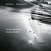 Brahms & Schumann: Violin Sonatas