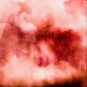 i don't want to overdo it